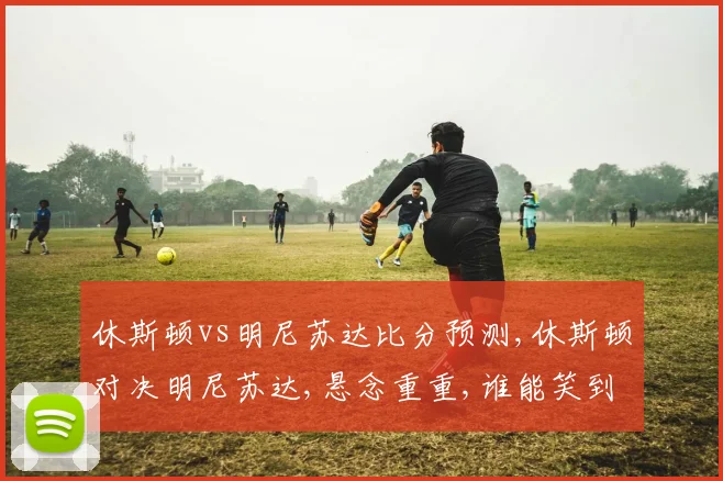 休斯顿vs明尼苏达比分预测,休斯顿对决明尼苏达,悬念重重,谁能笑到最后